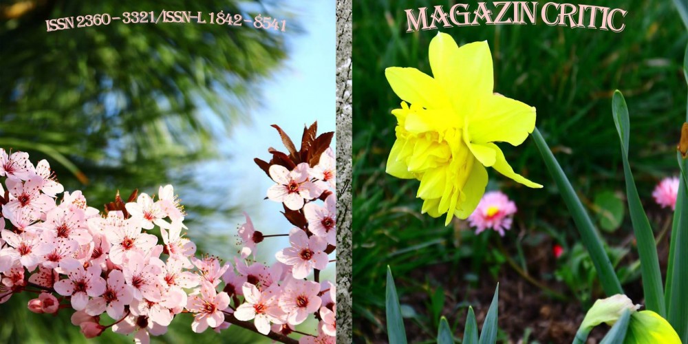 MAGAZIN CRITIC